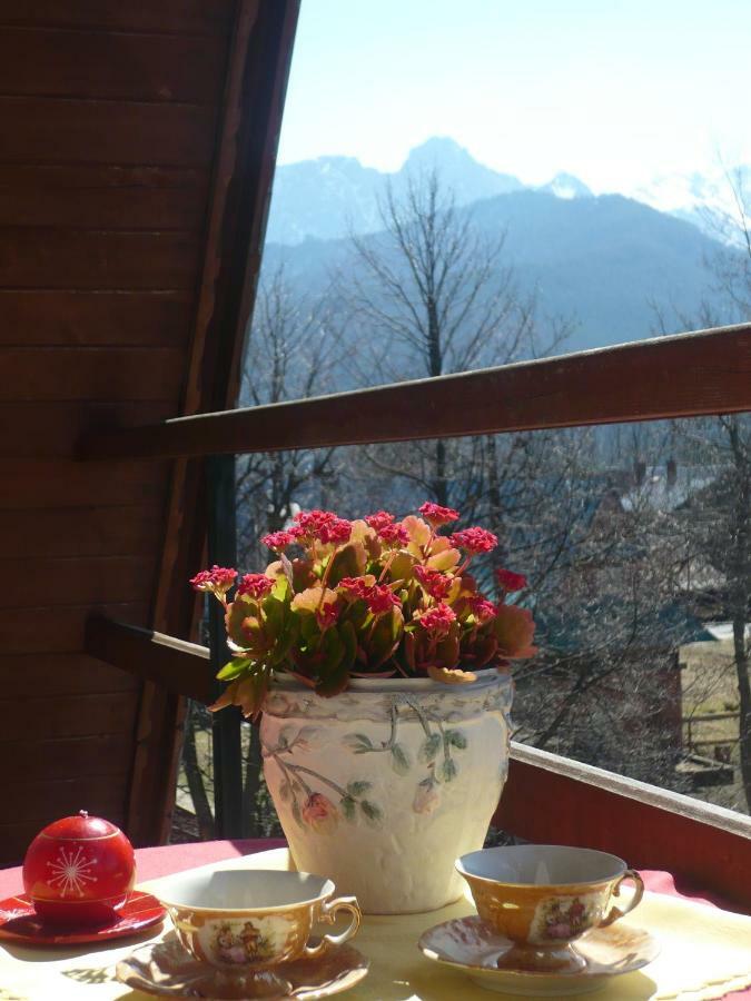 Pokoje Goscinne W Gorach Koscielisko Bagian luar foto