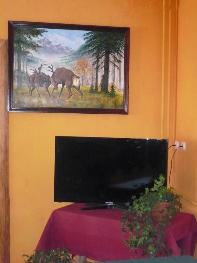Pokoje Goscinne W Gorach Koscielisko Bagian luar foto