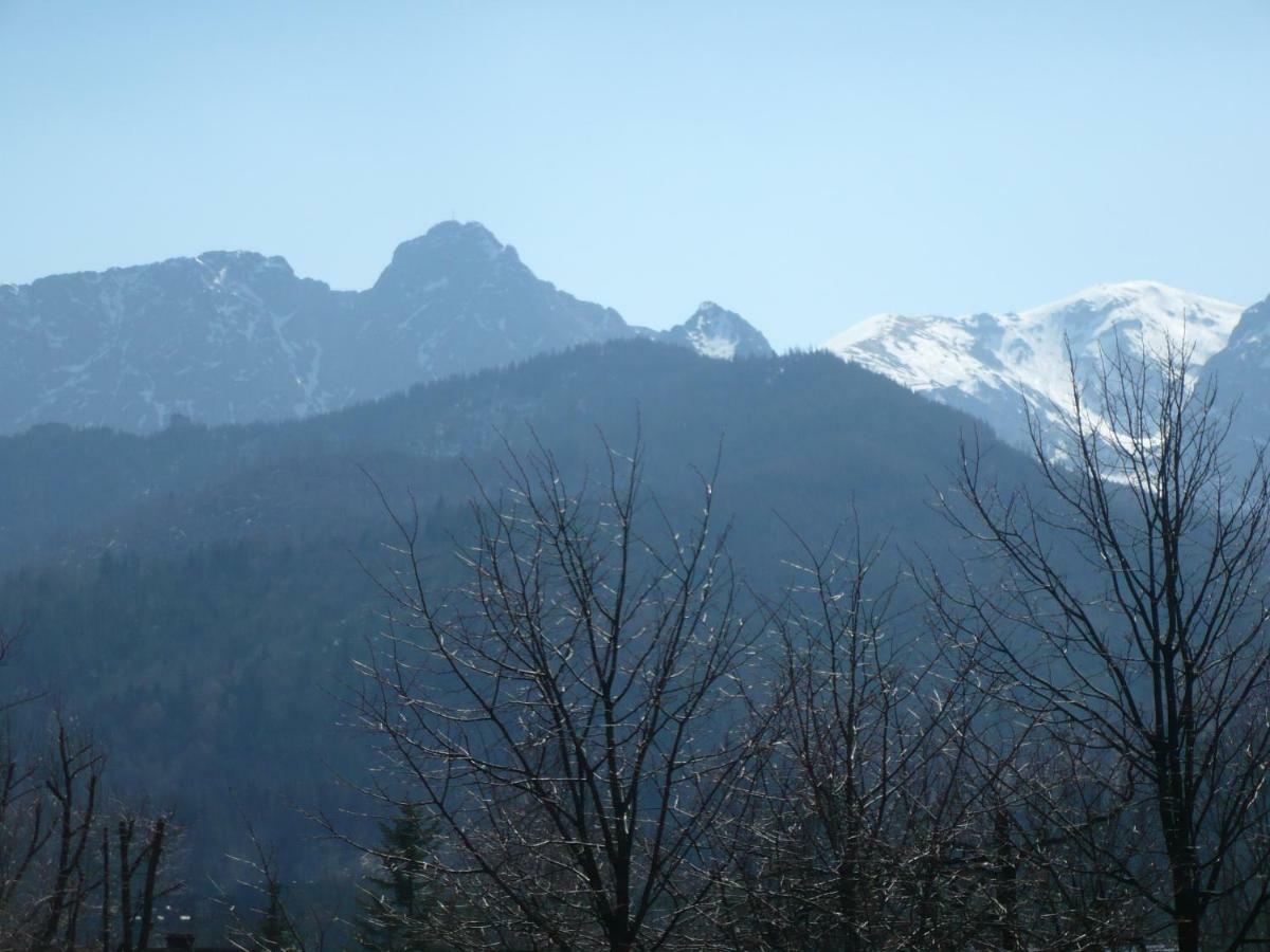 Pokoje Goscinne W Gorach Koscielisko Bagian luar foto